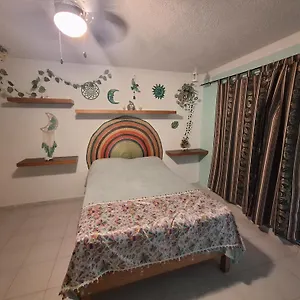 Mexico Arte Hostal