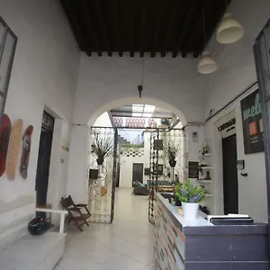  Hostel El Petate Mexico